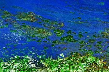 N 032C